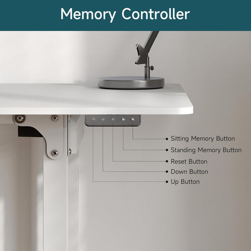 Standing Desk, Adjustable Standing Desk with 4 Legs, Rectangular Desk with 2 Dual Motors and Memory Controller,  63 x 29.5 Inch